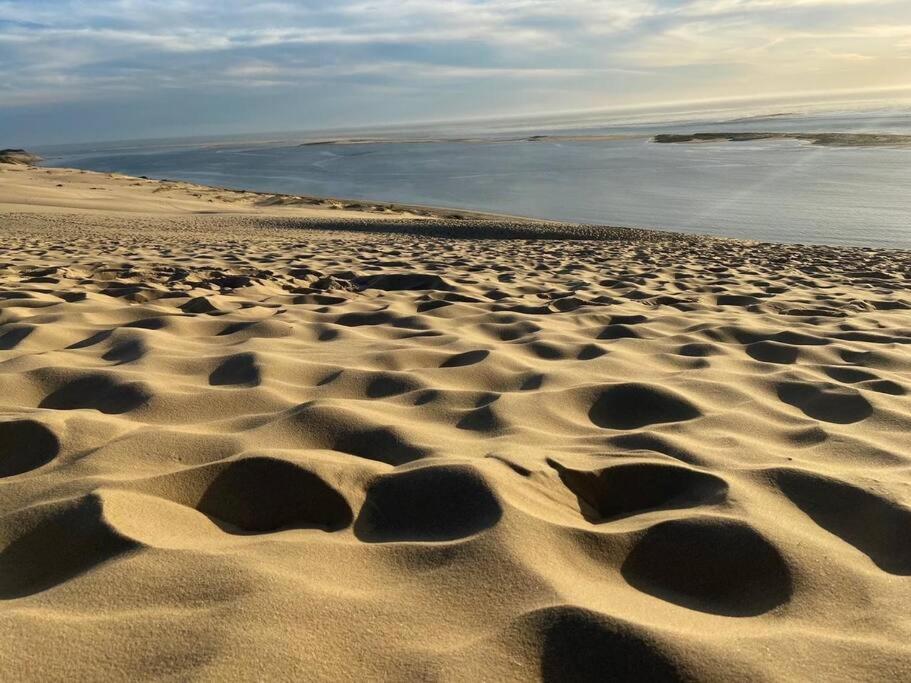 Villa Arcachon 12 Pers Avec Piscine Chauffee 1 Mai Au 30 Sept Екстер'єр фото