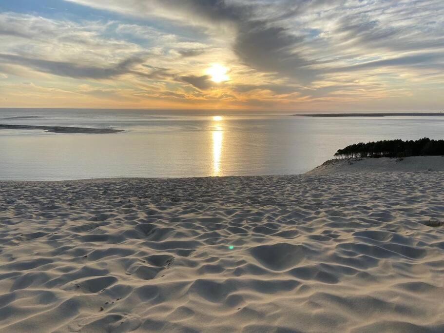Villa Arcachon 12 Pers Avec Piscine Chauffee 1 Mai Au 30 Sept Екстер'єр фото
